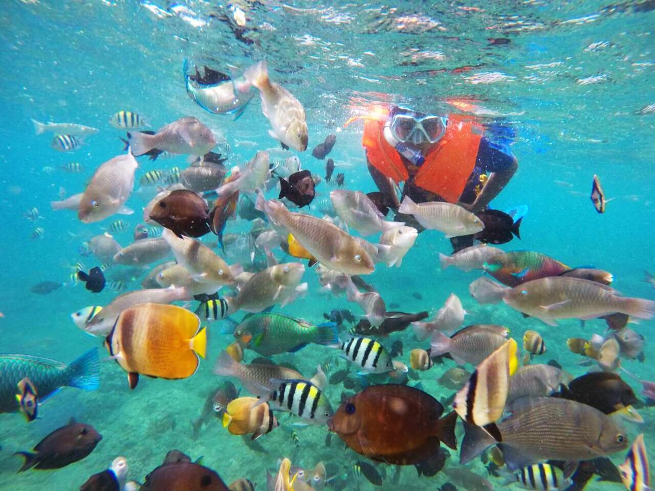 Dive And Trek Resort And Marine Sanctuary Bauan Exteriör bild